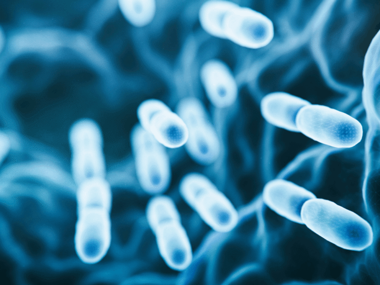 Illustration of micro bacteria that makes up biofilm